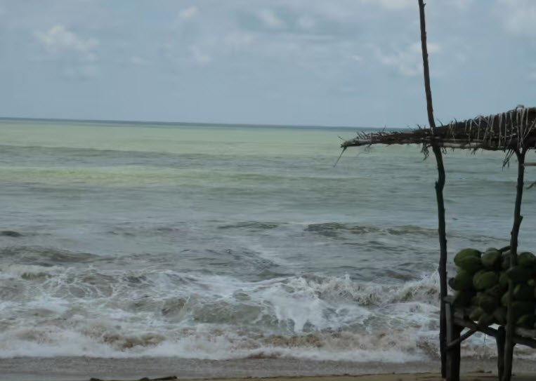Chandrabhaga Beach, Odisha, India